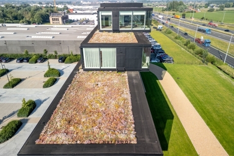 Extensief groendak op bedrijvencomplex in Waregem