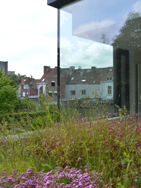 Naturoof Biodiversiteitsdak in Gent